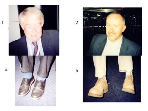 {short description of image}