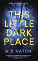 This Little Dark Place